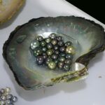 Pearl production and pearl farming in Halong Bay, Vietnam