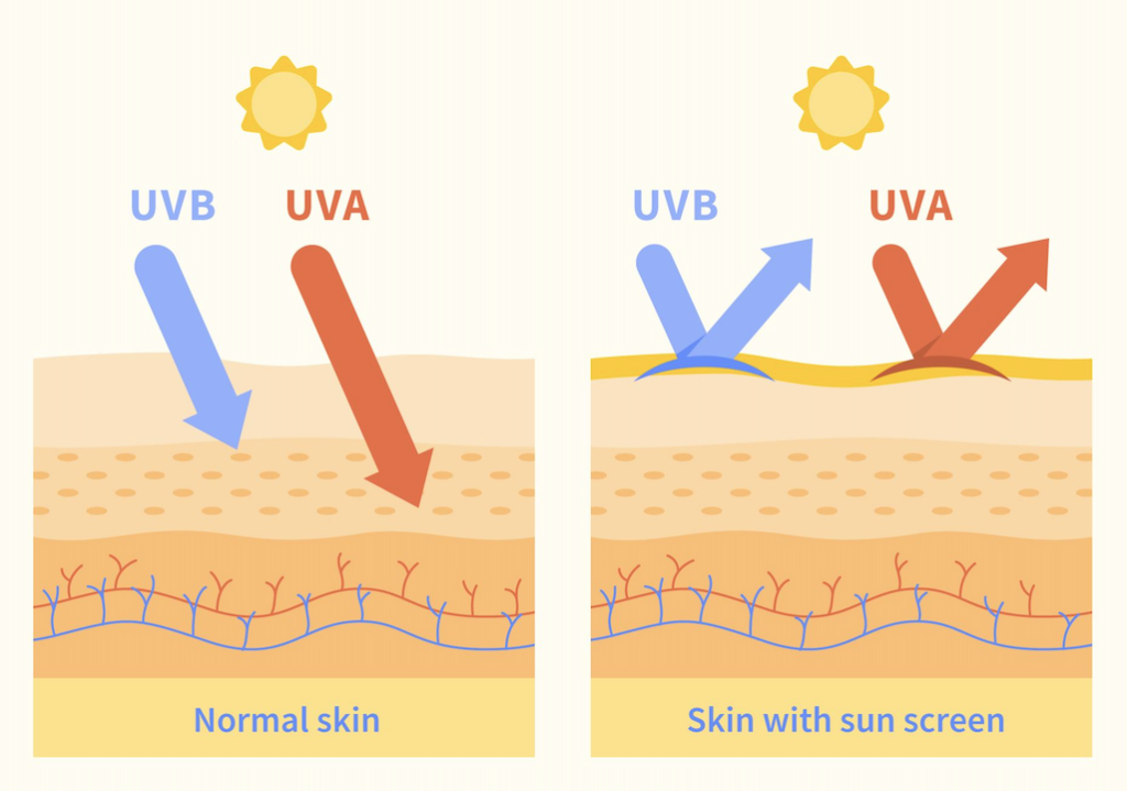 infographic sunscreen skin radiation graph