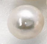 Japanese Akoya pearl