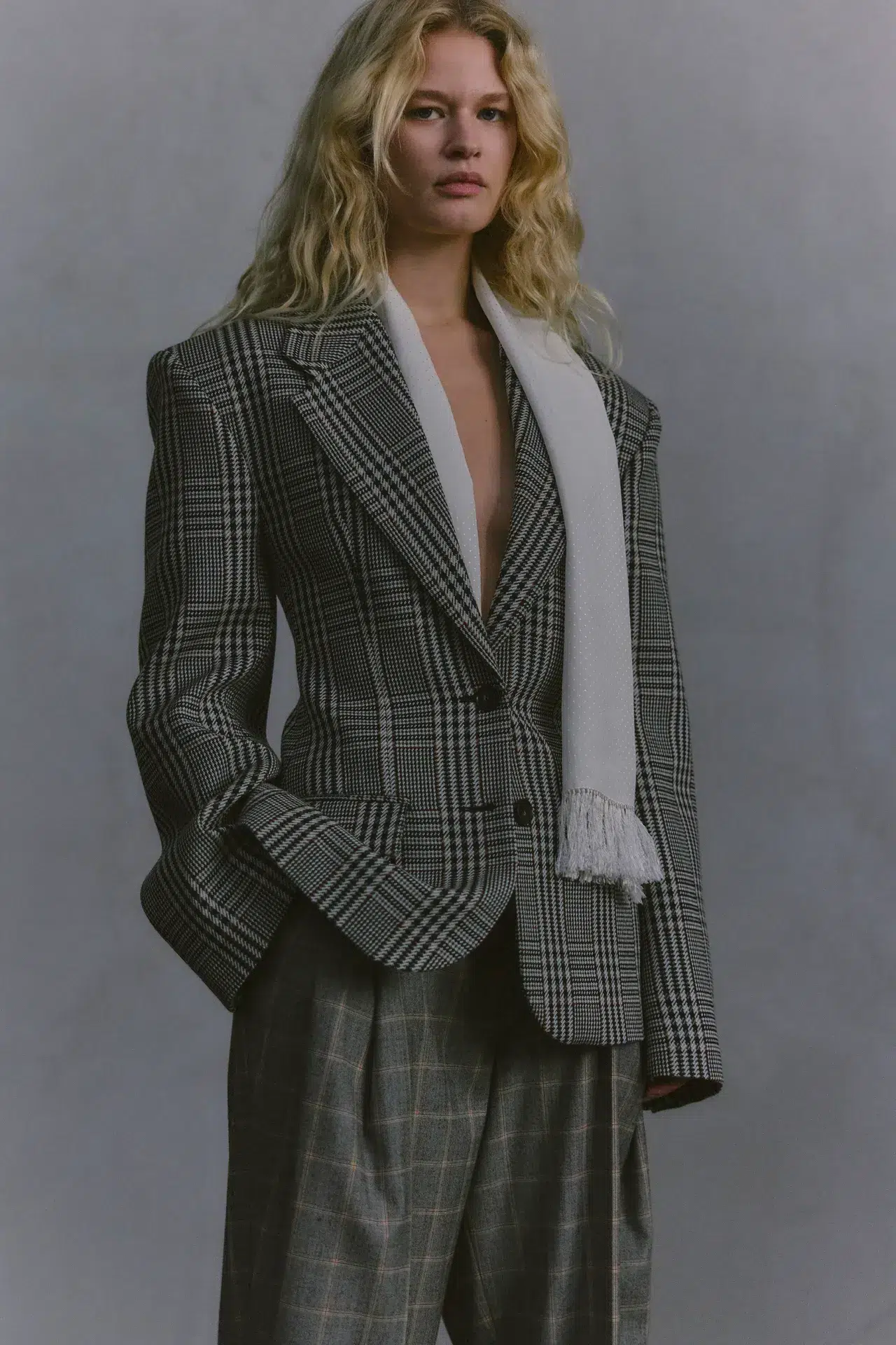 stella