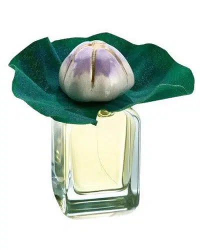 Mauna Medittorosa 100ml